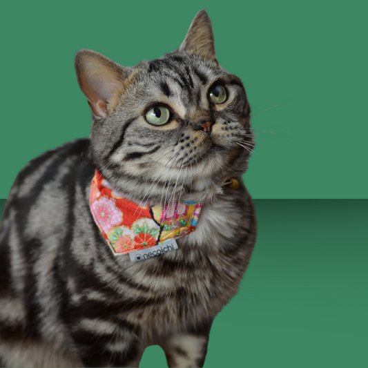 Necoichi Bandana Collar with Air Tag Pocket Red