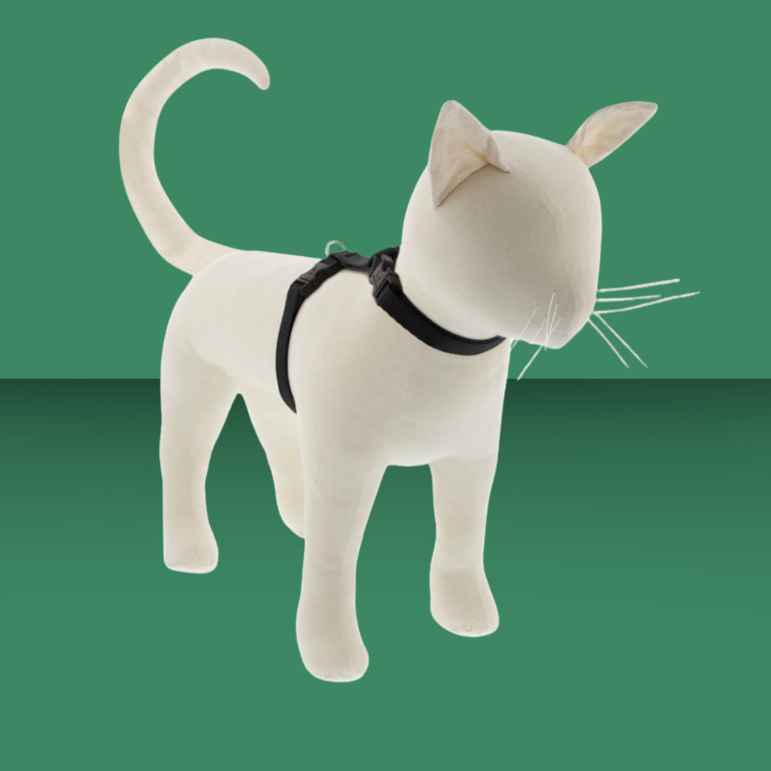 Lupine 1/2" H-Harness Black 9-14"