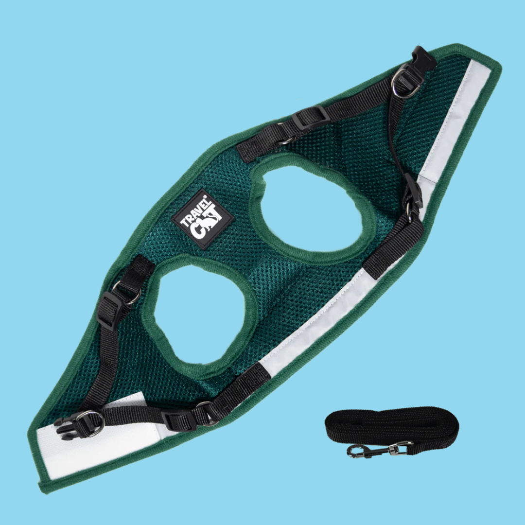 Harness and Leash Set Emerald Explorer