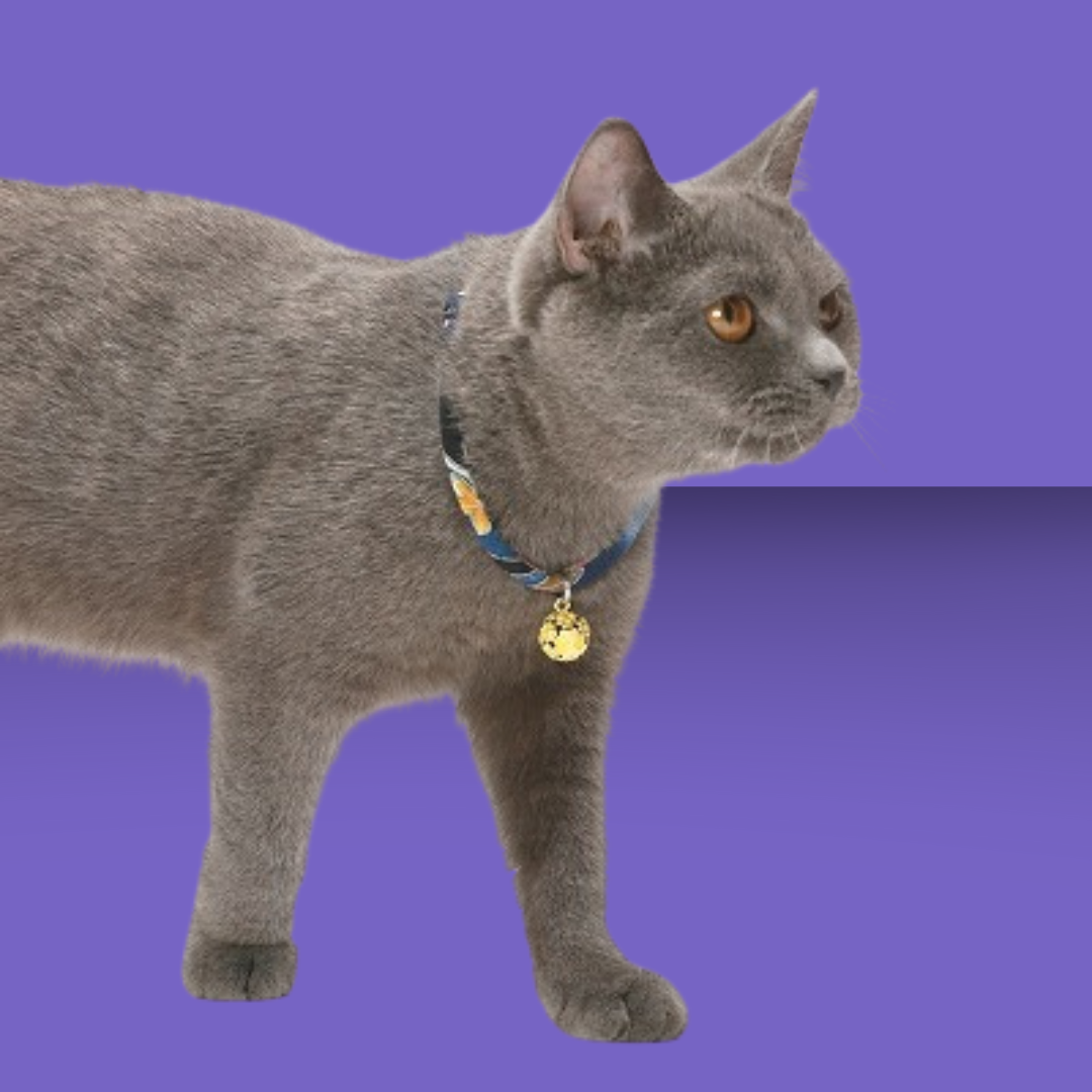 Chirimen Collar with Clover Bell Navy