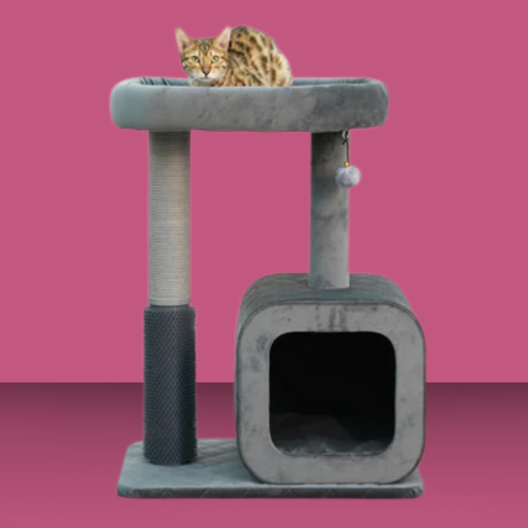 Catry Eclipse 2 Level Modern Cat Tree