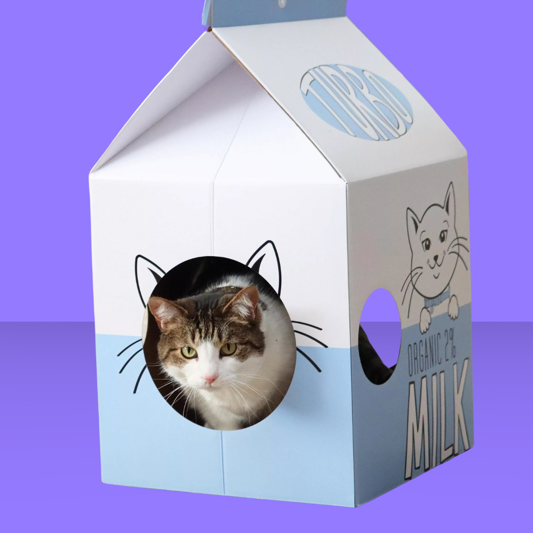 Pet Scratcher Milk Carton