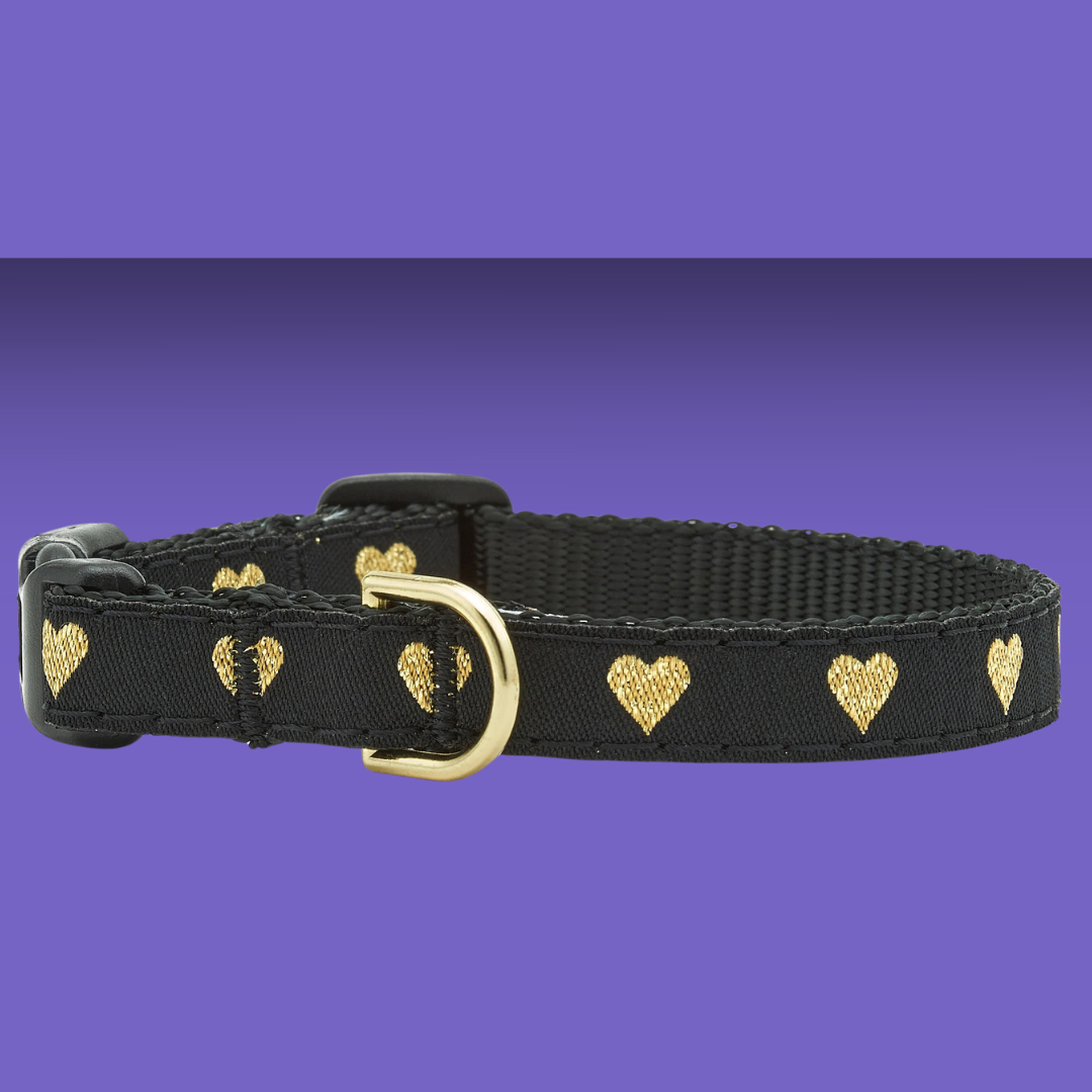 Up Country Heart of Gold Collar