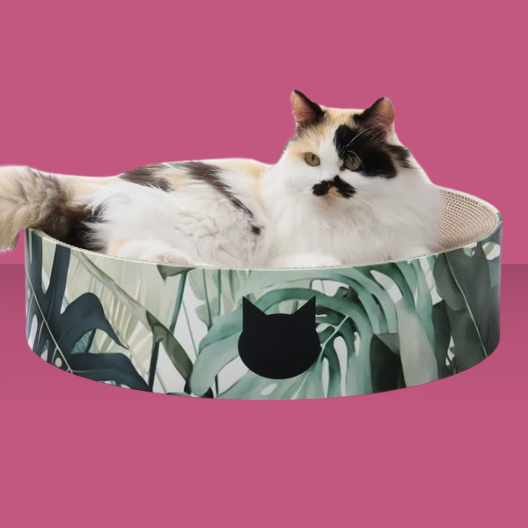 Cozy Cat Scratcher Bowl XL Green