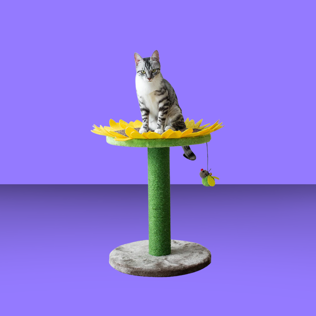 Catry Sunflower Cat Scratcher