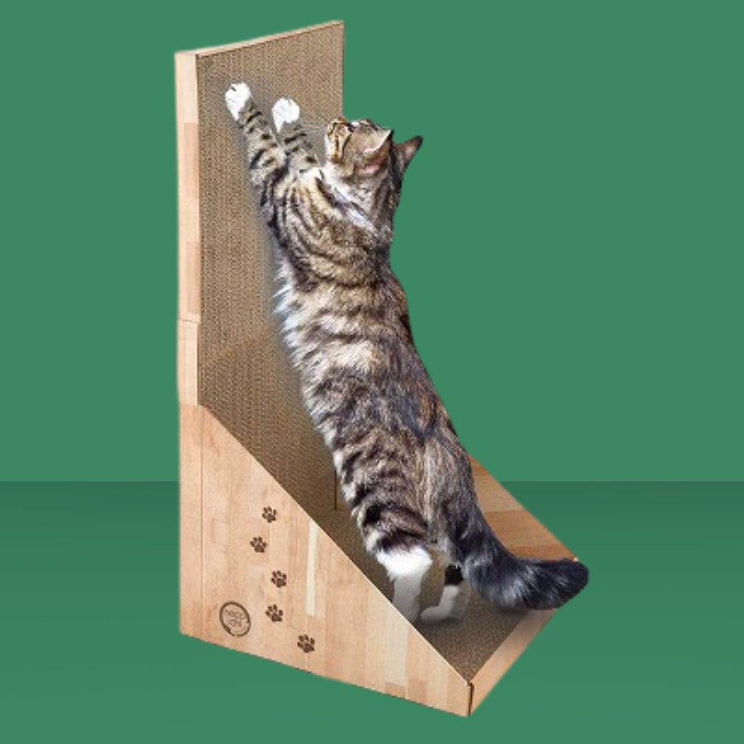 Stretch & Scratch Wall Cat Scratcher