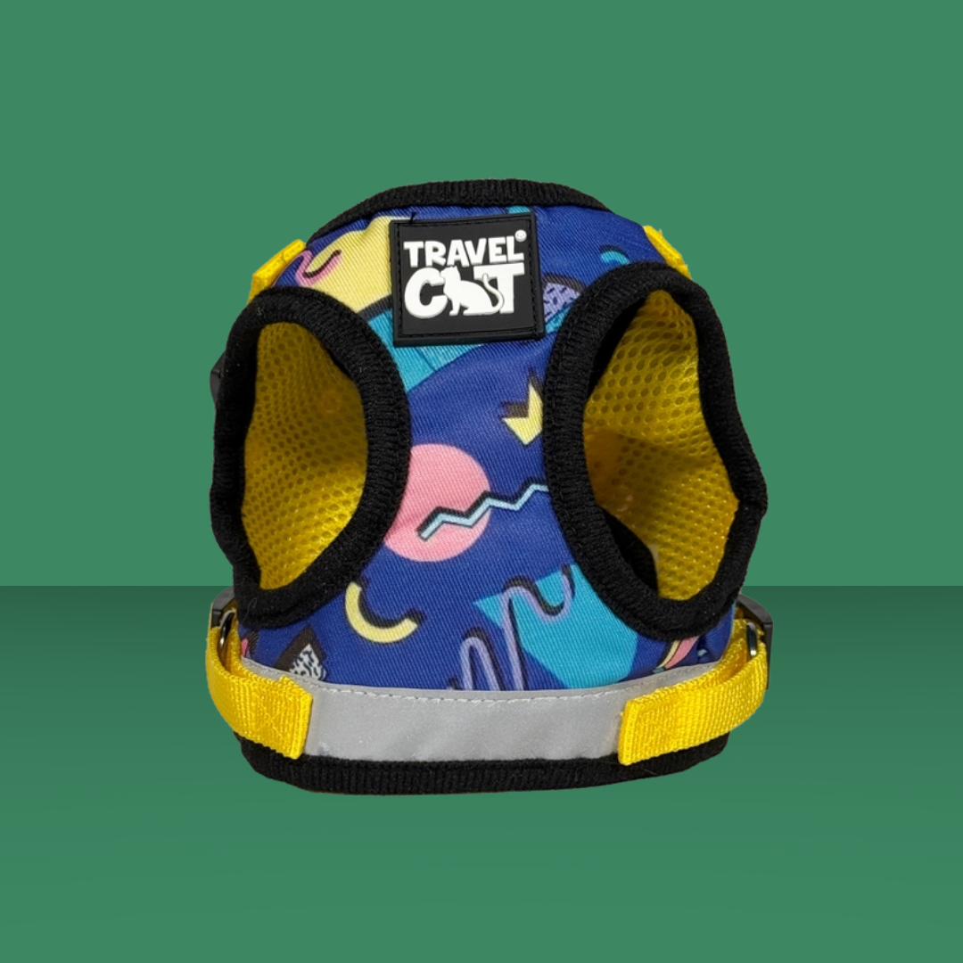 Harness and Leash Set 90s Cat