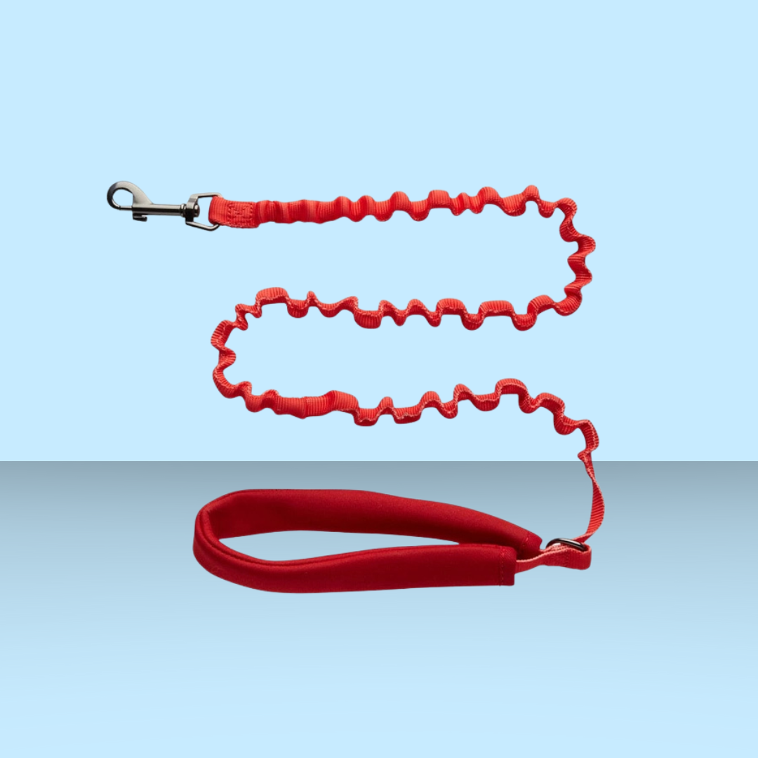 Harness and Leash Set Day Tripper Color Block