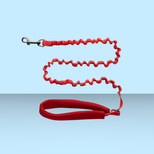 Harness and Leash Set Day Tripper Color Block