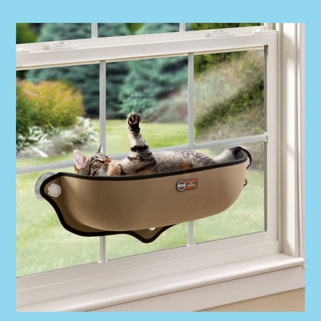 Mount Window Bed