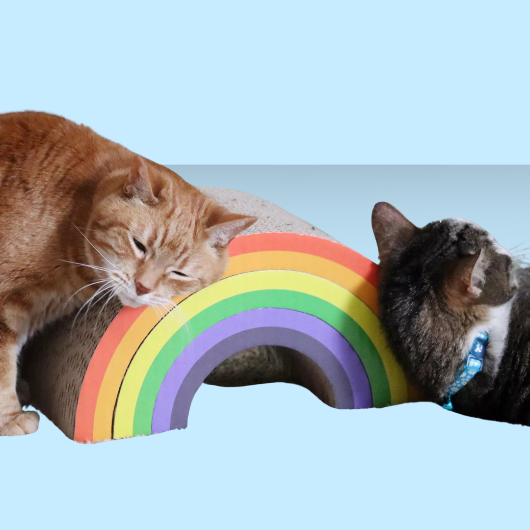 Pet Scratcher Rainbow