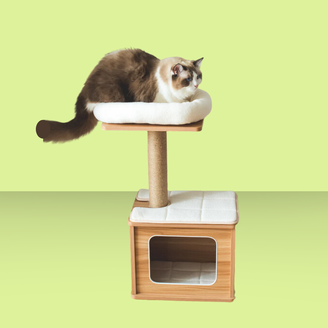 Catry Cedar Condo Cat Tree