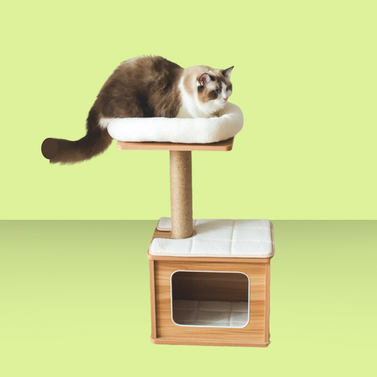 Catry Cedar Condo Cat Tree