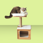 Catry Cedar Condo Cat Tree