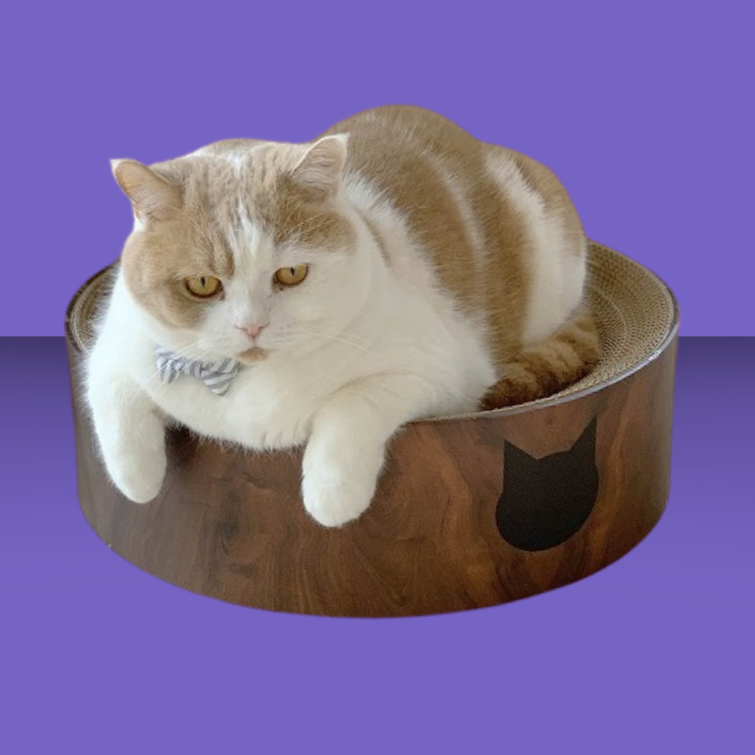 Cozy Cat Scratcher Bowl Dark Cherry