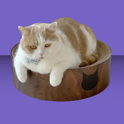 Cozy Cat Scratcher Bowl Dark Cherry