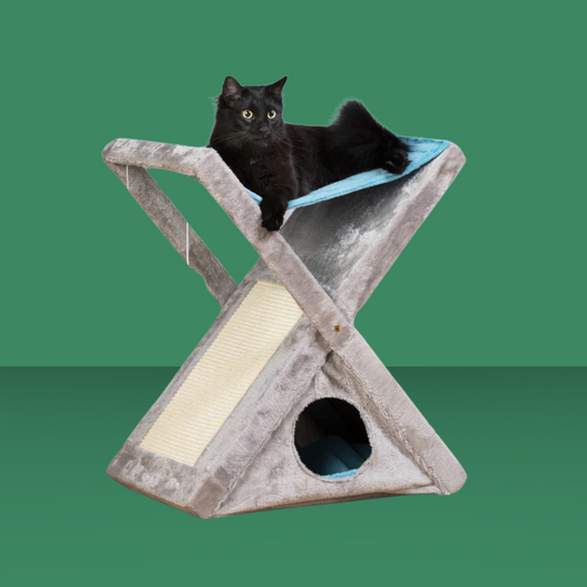 Pet X-tra Fun Kitty Center Blue
