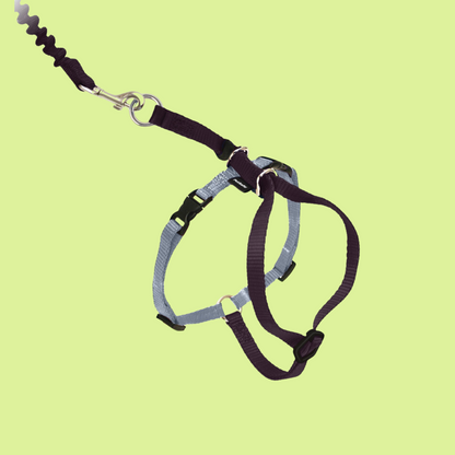 Come With Me Kitty Harness L Black