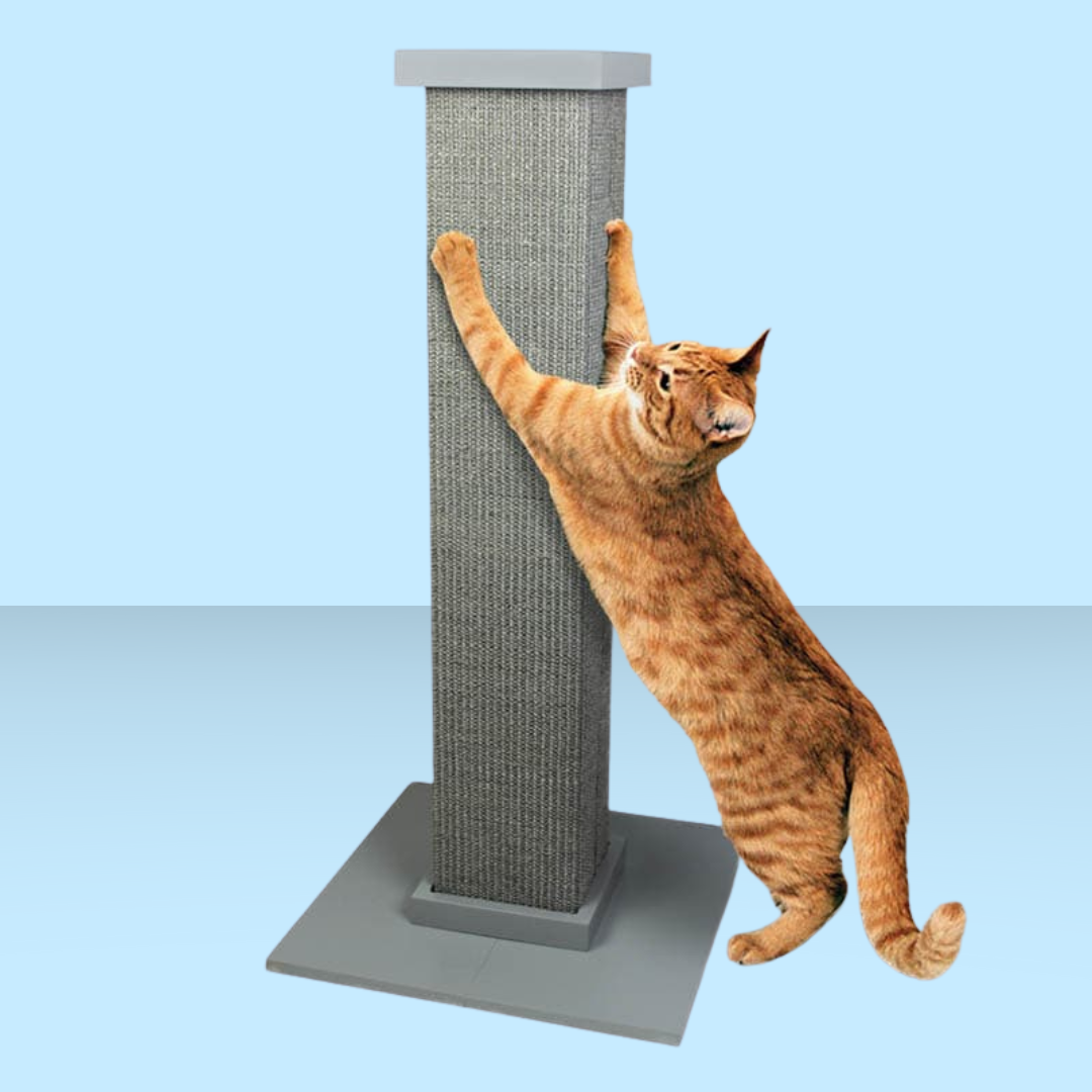 Pioneer Pet Ultimate Scratching Post Gray