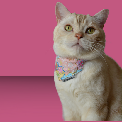 Bandana Collar with Air Tag Pocket Blue