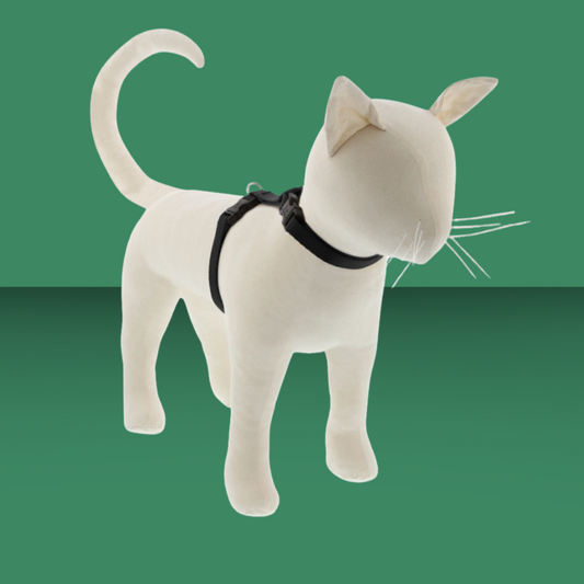 Lupine 1/2" H-Harness Black 12-20"