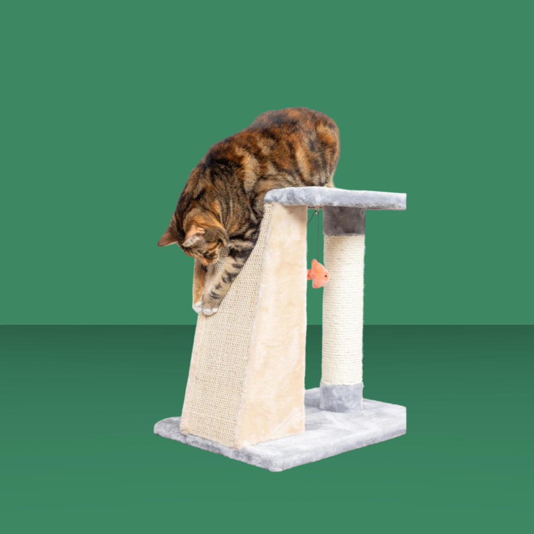 2 Level Platform Scratcher