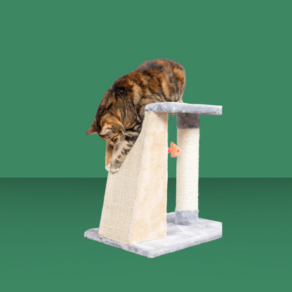 2 Level Platform Scratcher