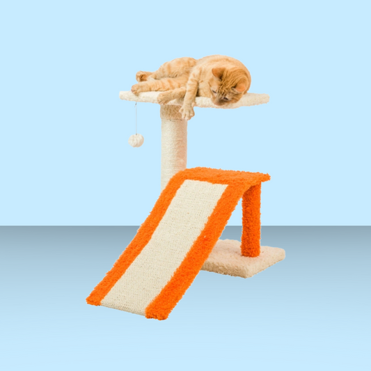 2 Level Platform Scratcher with Ramp