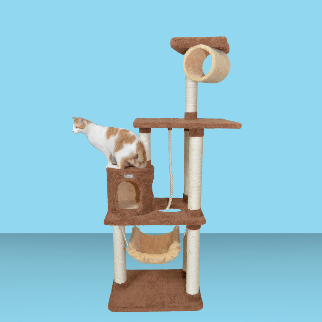 Hammock 70" Cat Tree