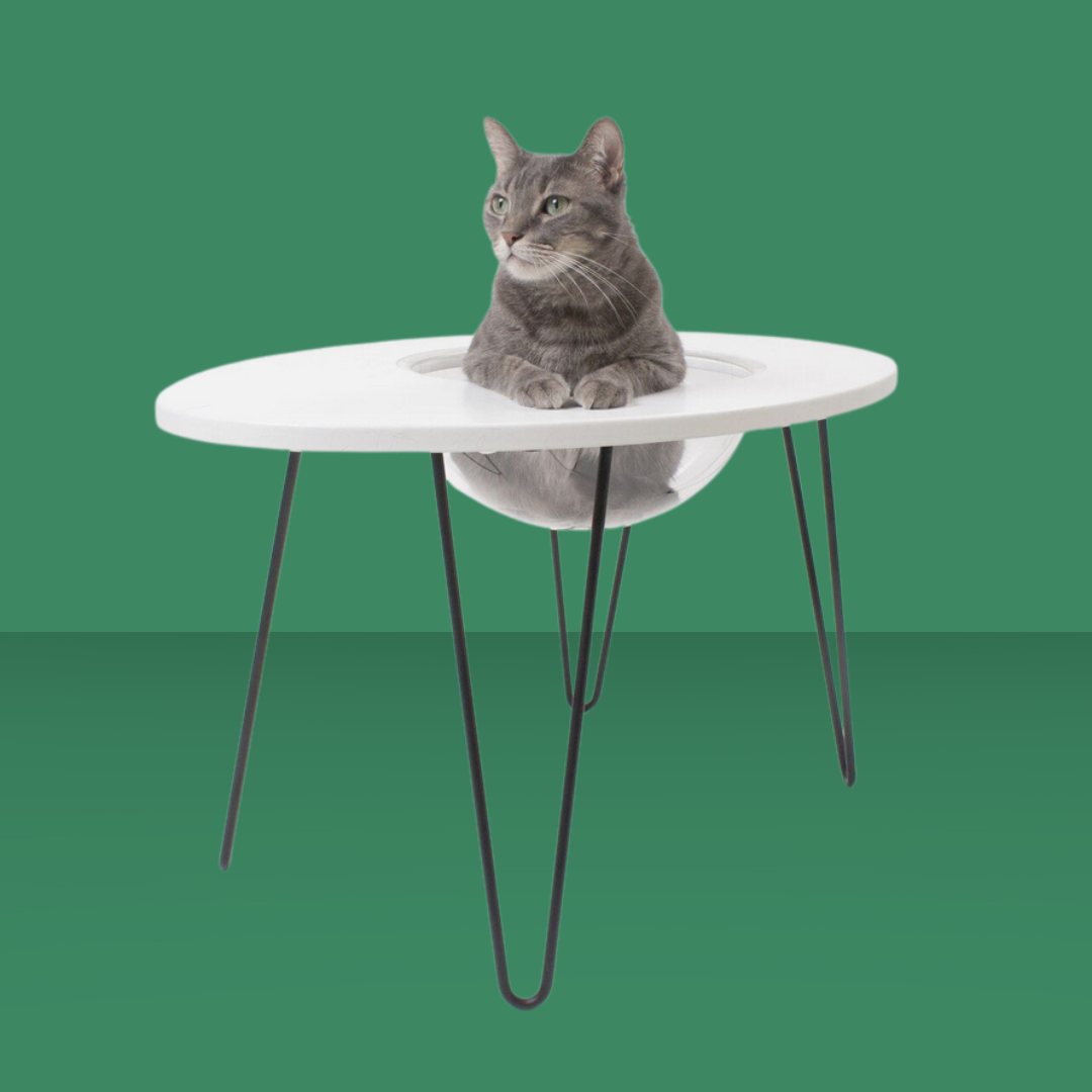 Primetime Petz Nest Egg Table White