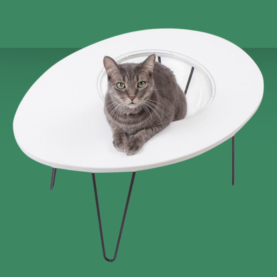 Primetime Petz Nest Egg Table White