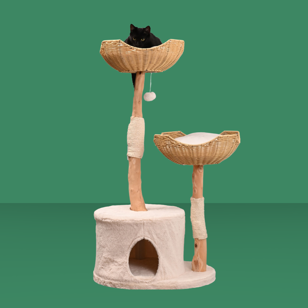 Armarkat All in One Play and Rest