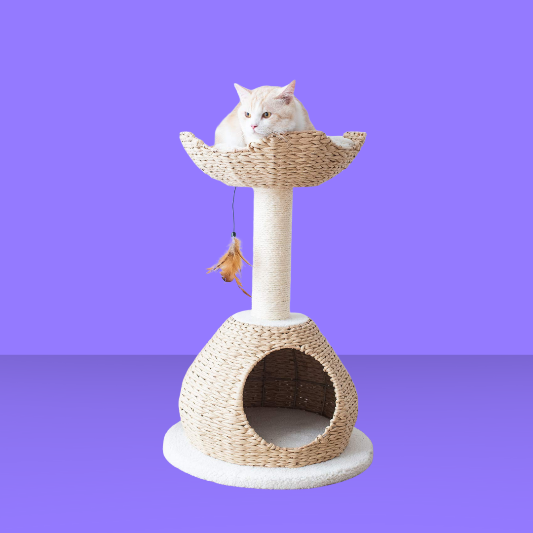 Catry Walk Up Cat Tree with Perch and Basket