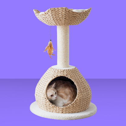 Catry Walk Up Cat Tree with Perch and Basket