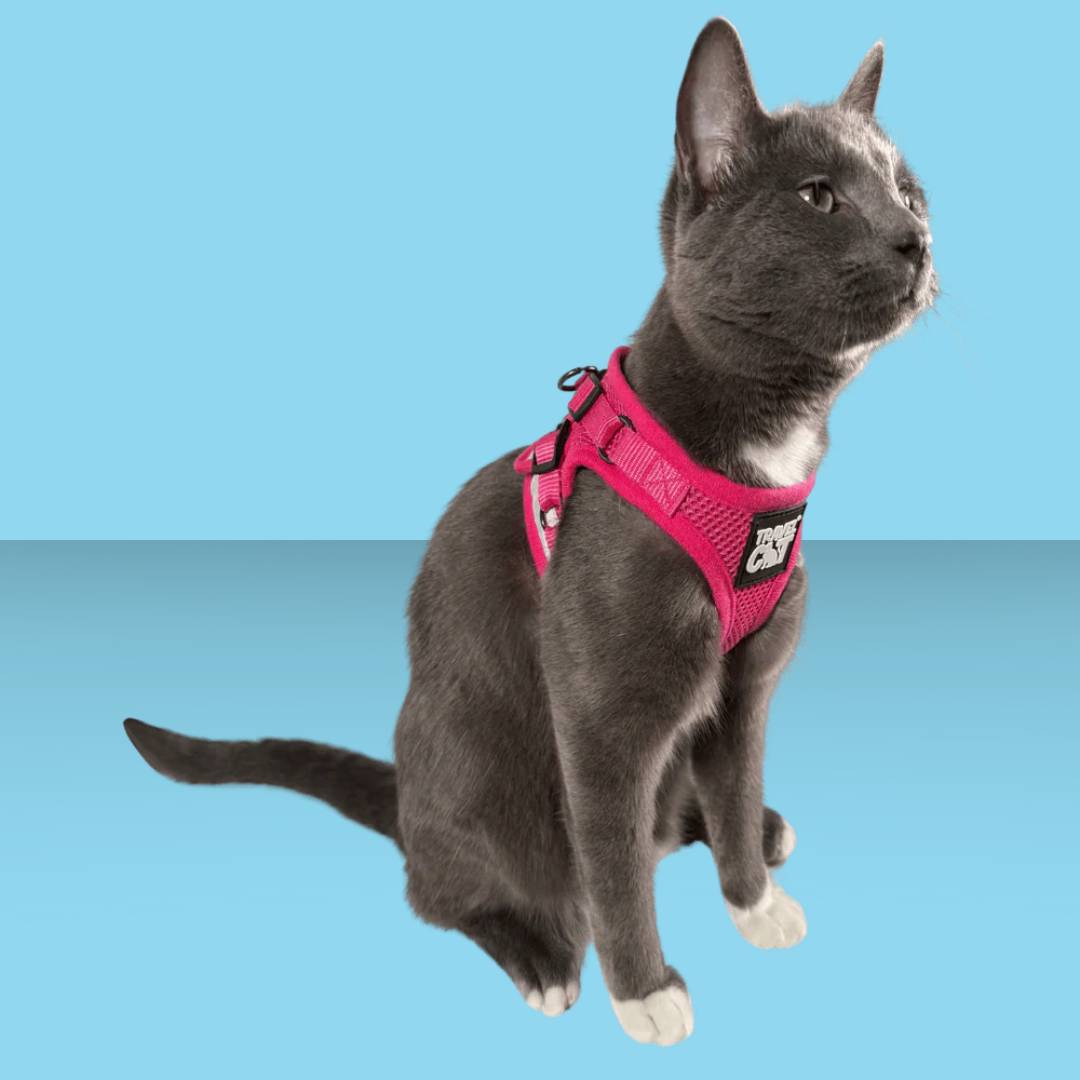 Harness and Leash Set Purrfectly Pink Iridescent