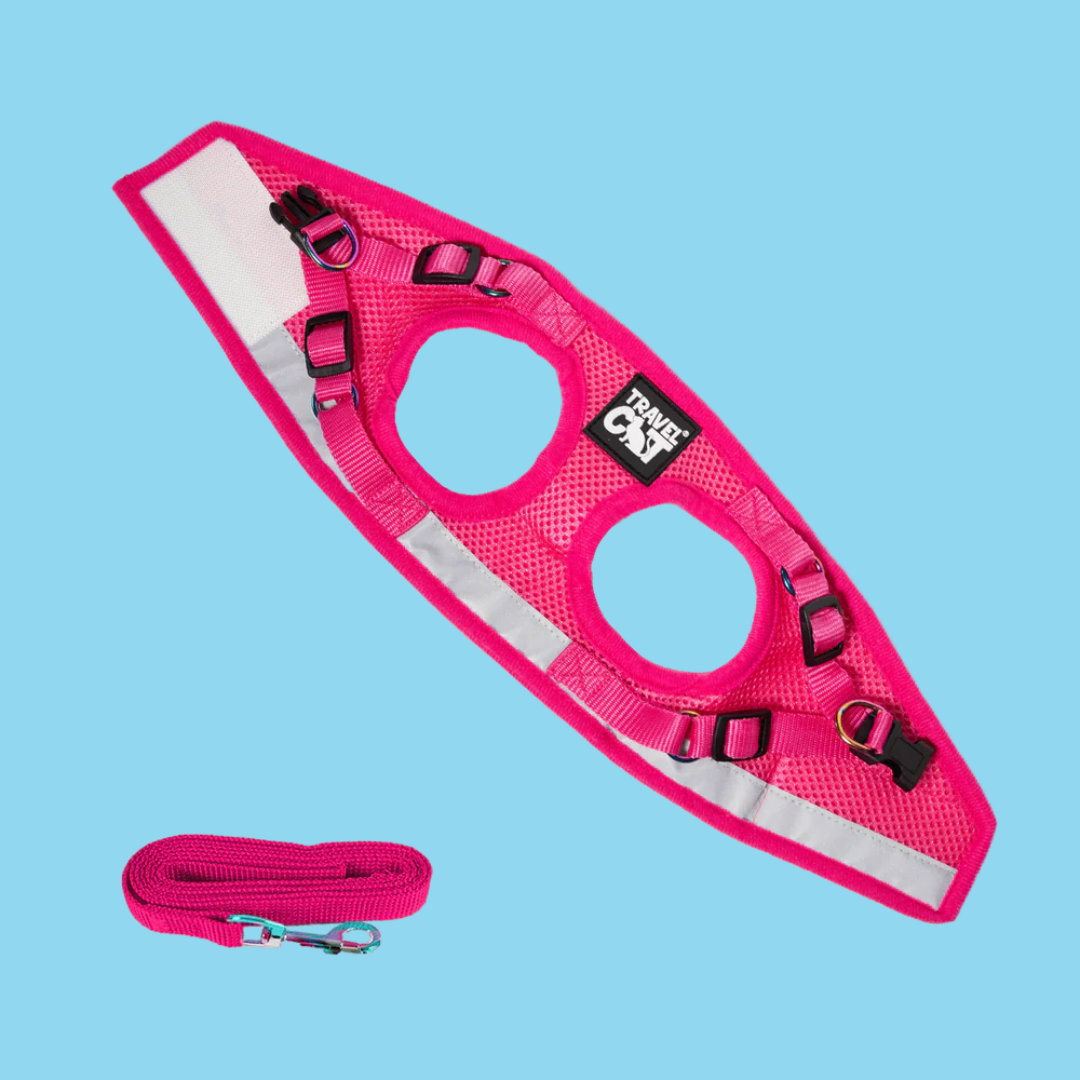 Harness and Leash Set Purrfectly Pink Iridescent