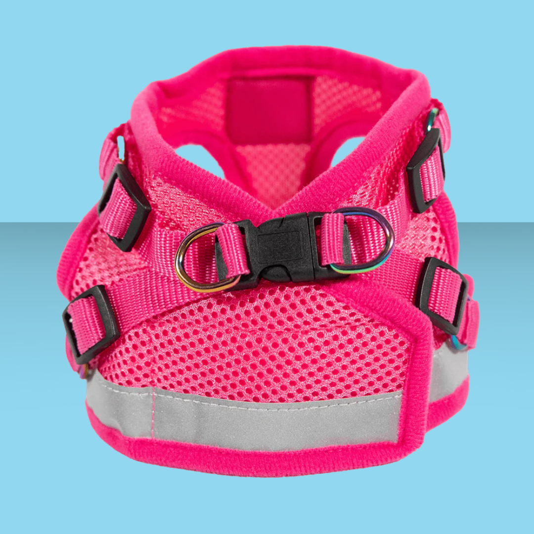 Harness and Leash Set Purrfectly Pink Iridescent