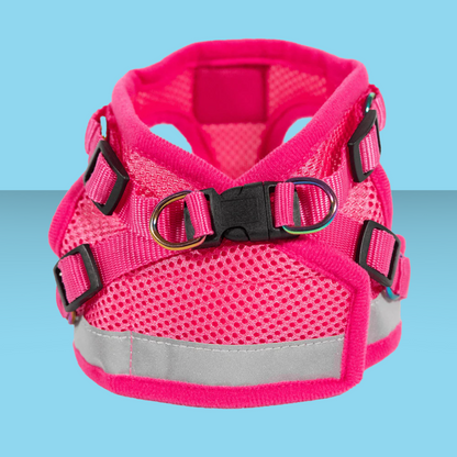 Harness and Leash Set Purrfectly Pink Iridescent