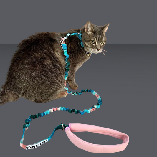 Harness and Leash Set Day Tripper Watercolors