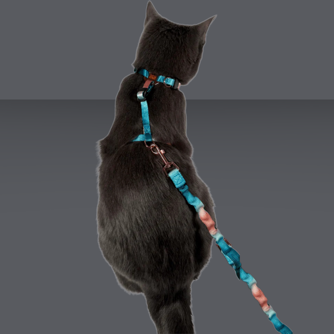 Harness and Leash Set Day Tripper Watercolors