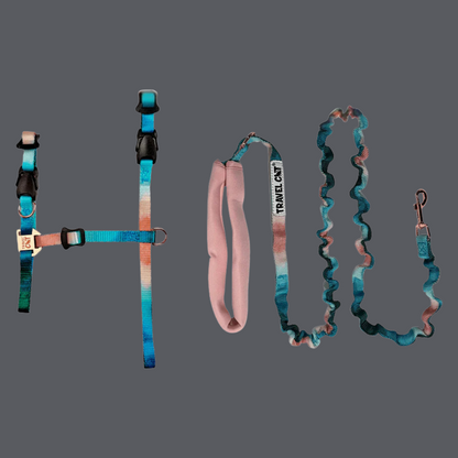 Harness and Leash Set Day Tripper Watercolors