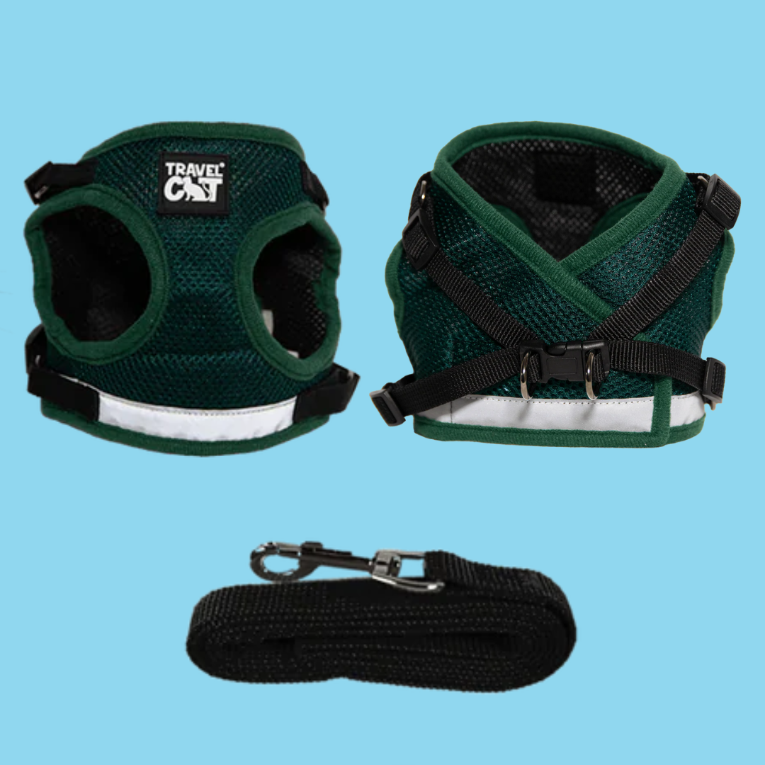 Harness and Leash Set Emerald Explorer