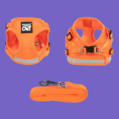 Harness and Leash Set Orange