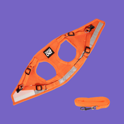 Harness and Leash Set Orange