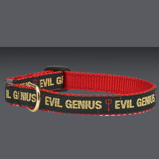 Up Country Evil Genius Collar