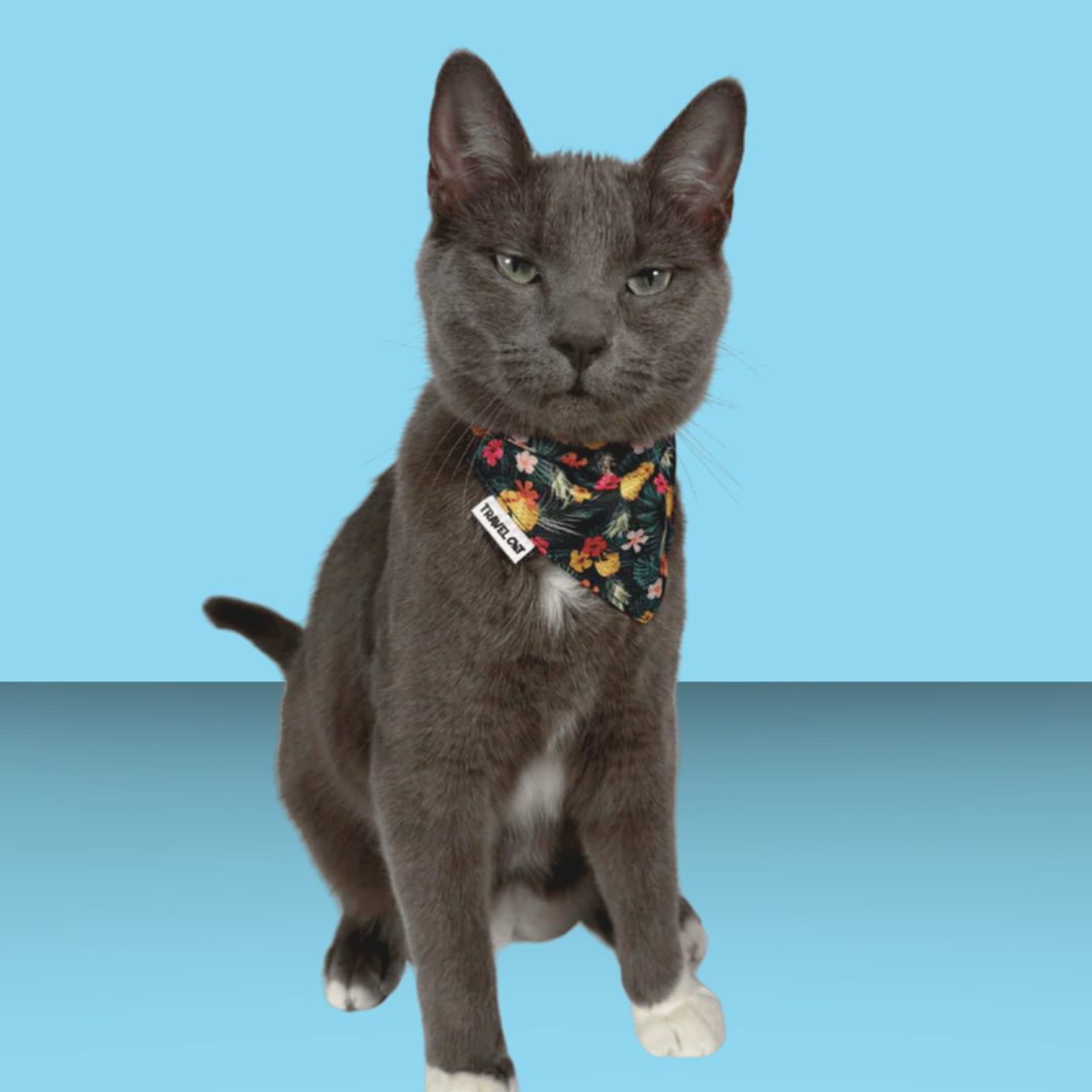 The Hawaiian Bandana & Collar