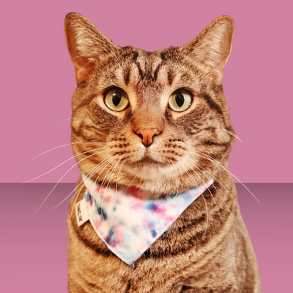 The Groovy Bandana & Collar