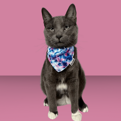 The Groovy Bandana & Collar