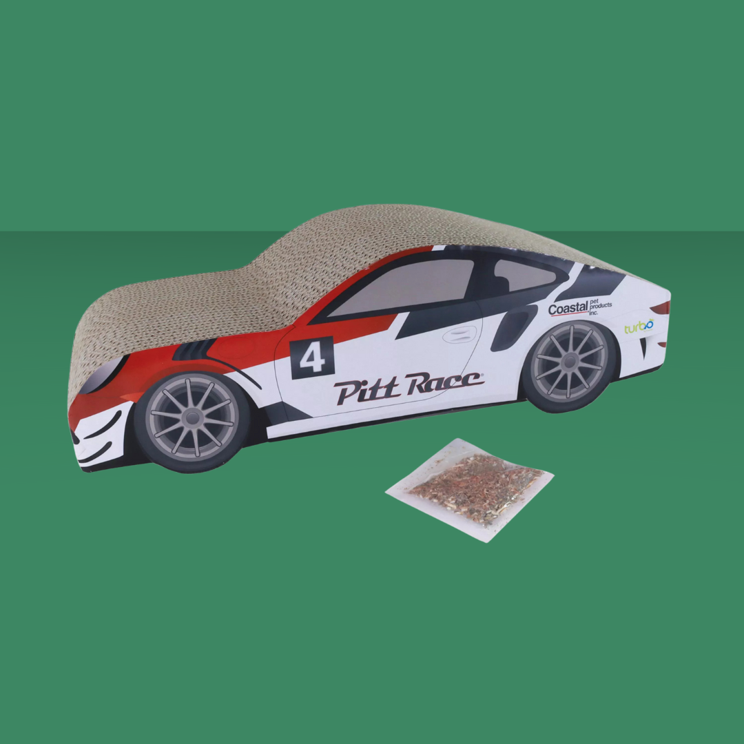 Pet Scratcher Racecar