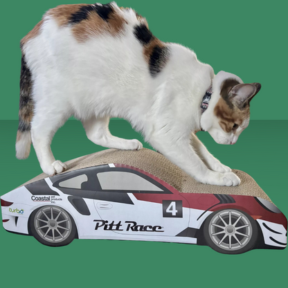 Pet Scratcher Racecar